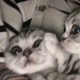 不想注销