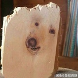 韩美娟