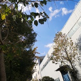 美俊ko