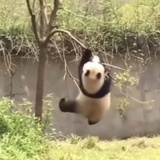 不是江湖骗子