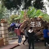 诶？