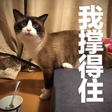 路过人生