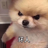 奇奇怪怪