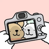 虎虎