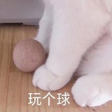 名字里有很多圈