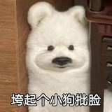 放点饭吃吃叭