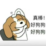月亮圆圆