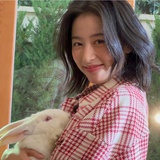 一颗刘麦菜