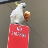 铭
