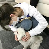 星河入梦来