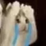 然然脸红了