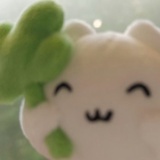 幸运の四叶草🍀