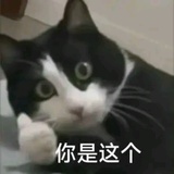 迪西馅饼批发商
