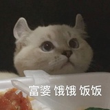 偷偷做0