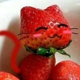 芝芝莓莓