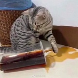 寸铁