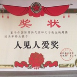 许小怂