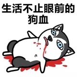 新浪热点分享
