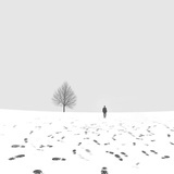 南天北雪