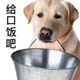 爱情丘比特