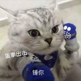 叶耶耶夜