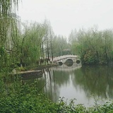 花殇落