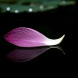 豆友201254051
