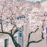 祈遇