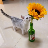 差不多
