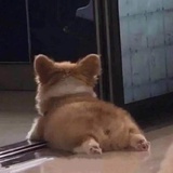 辣妹守则