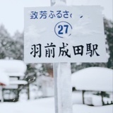 乔乔