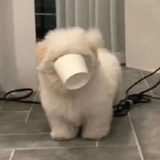 小起