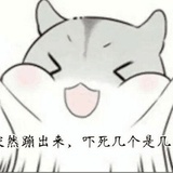 柚子茶