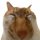 又下雨了