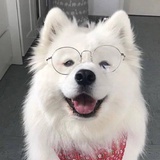你管我呢