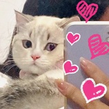 应小哈