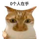 我是摸摸菌
