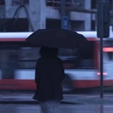 一文不zhi