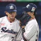 爱打高飞的男人