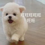 在做梦