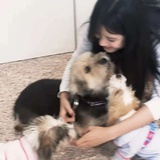 等发笑