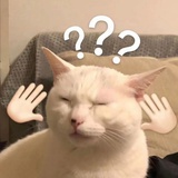 lopypy
