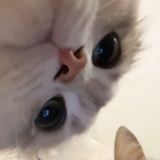不知道改什么名