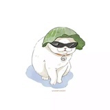 不能再买了！