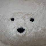 江湖伊布