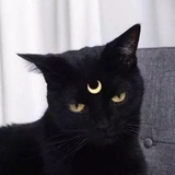 A笙