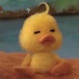 呼呼