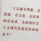 芝士杀手