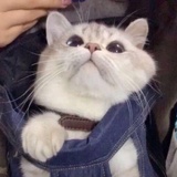 希望你快乐