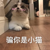 起什么名字好呢